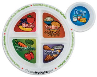 Child’s Portion Meal Plate Packaged with Educational Card